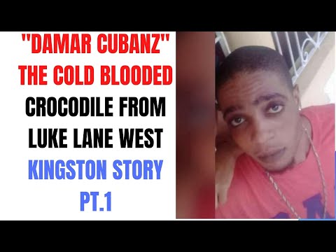 ''DAMAR CUBANZ'' THE MOST COLD BLOODED CROCODILE FROM LUKE LANE WEST KINGSTON STORY PT 1