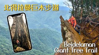 北得拉曼巨木步道－跟導航會刁車、跟猴子搶愛玉、回音谷給負評