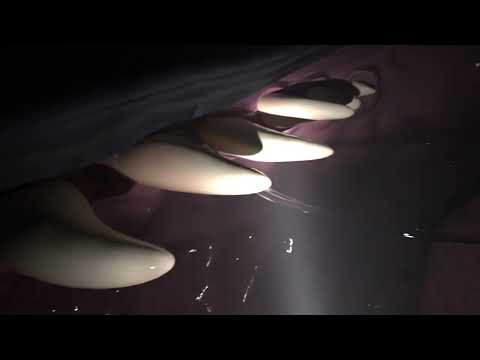 The Cave Part 1 & 2 & 3 Compilation