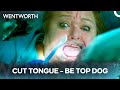 Every Snitch Pays The Same Price Wentworth Season 5 Episode 6