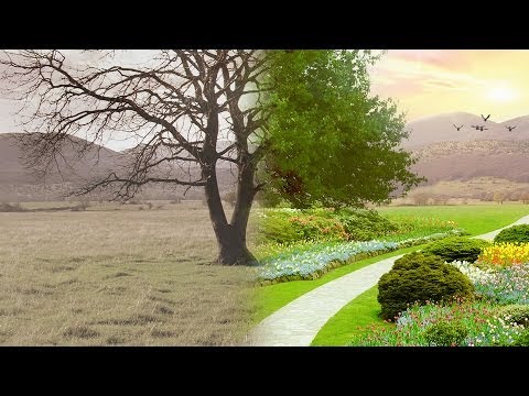 Paradigm Shift | Official Trailer