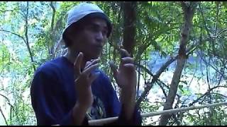 preview picture of video 'Taman Negara 2006, Malaysia'