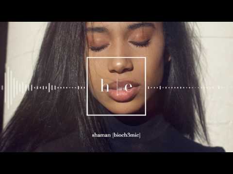 Bi0ch3mic - Shaman