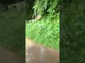 Tenkasi Vellam