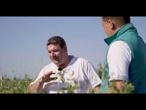 DSV Bodenrundreise 2021 | Biodiverse Fruchtfolgen