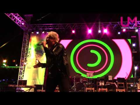 Winter Pride - Soraya Vivian