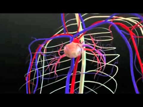 Emily Aiken on the value of Personal Data