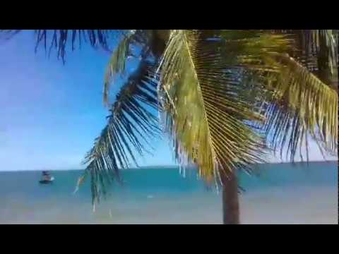 Coqueirinho do norte, Brazil.