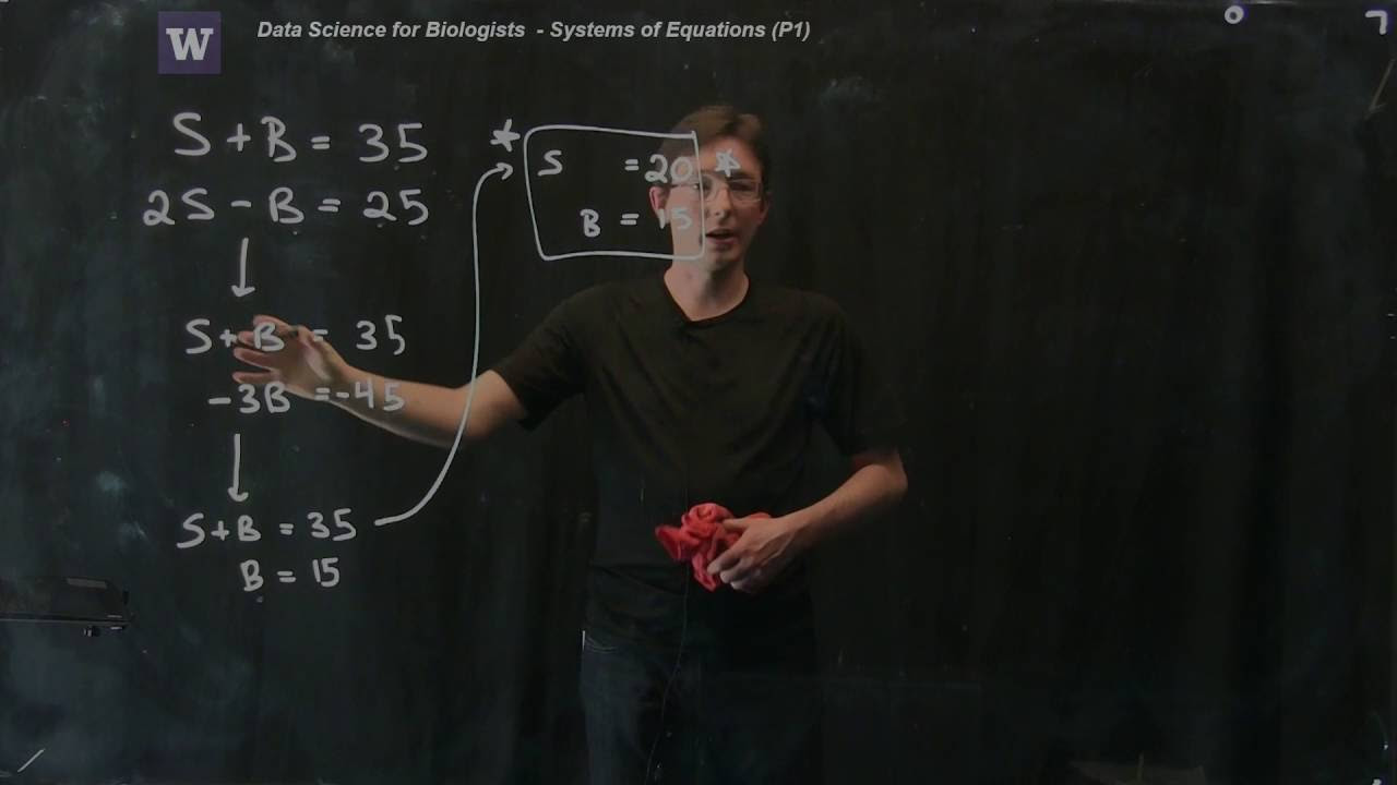 Solving Systems of Equations: An Introduction