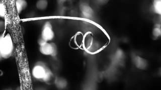 Download lagu Turdus Merula - Mother mp3