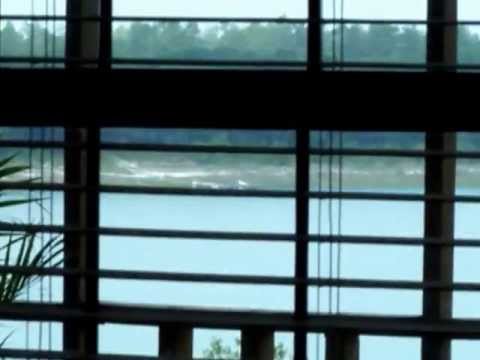 4497 Leisure Lake Dr