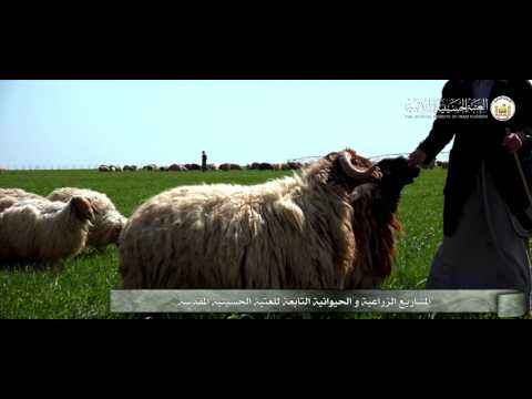 المشاريع الزراعية و الحيوانية التابعة للعتبة الحسينية المقدسة