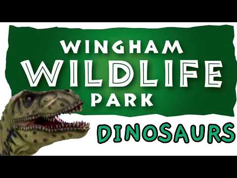 THERE'S A DINOSAUR NURSERY RHYME | WINGHAM WILDLIFE PARK DINOSAUR, KENT