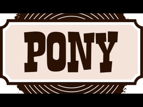 Learning Pony with @SeanTAllen