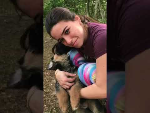 Southernwind puppies Waiko x Asti