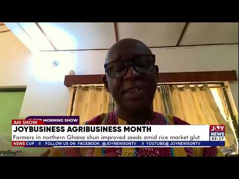 Agribusiness Month: Farmers in northern Ghana shun improved seeds amid rice market glut