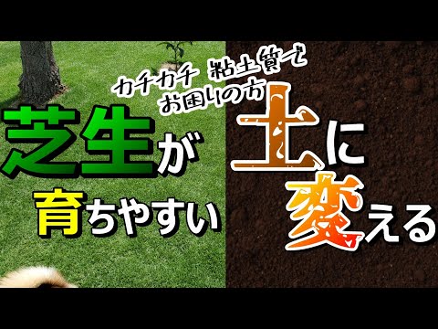 つりきっぷ様「芝生の土を耕します【カチカチ】【粘土質】【水はけ悪い】【土壌改良】微生物パワーで庭の土づくり」