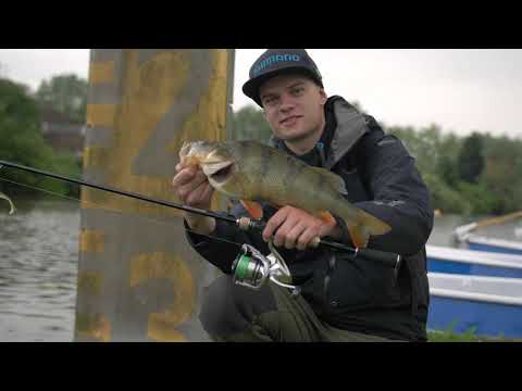 Wędka Shimano na okonia – którą wybrać?