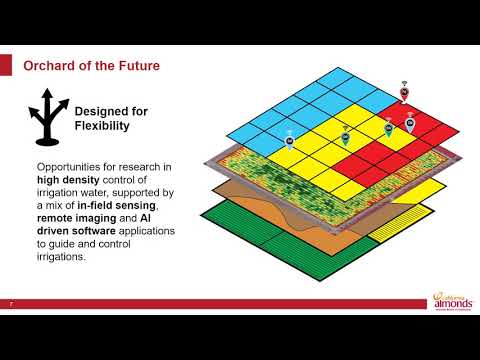 Orchard of the Future
