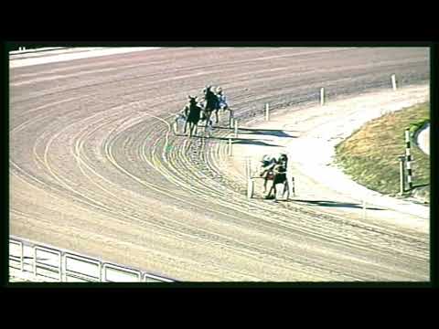 Trotto 09/02/2020 - prova di qualifica