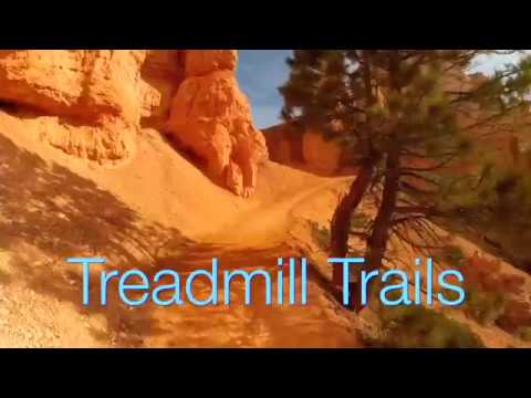 Treadmill Trails Video