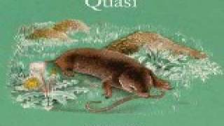 Quasi - The Skeleton