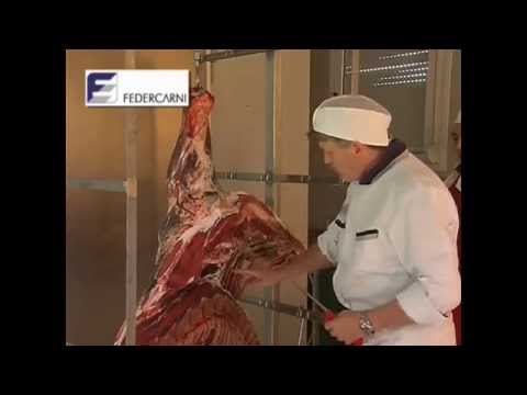 Siccome i vermi in cuore sono chiamati Croce di Petrov parassita scaglioso