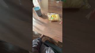 今日の朝食