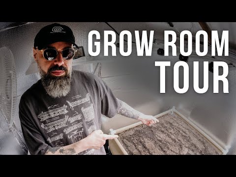 $10,000 Home Grow