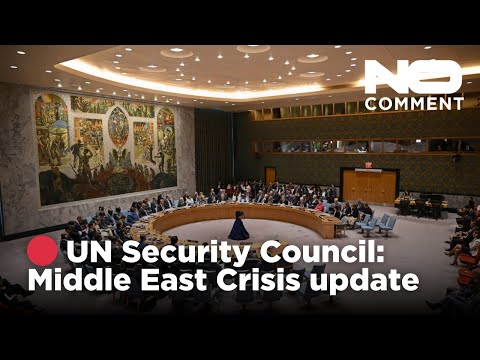 🔴 LIVE - UN Security Council stakeout and Middle East briefing | No Comment
