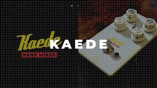 Video thumbnail for KAEDE-楓-《HAND WIRED》PV feat. ▸𝐘𝐮𝐬𝐡𝐢◂ by Altero Custom Guitars