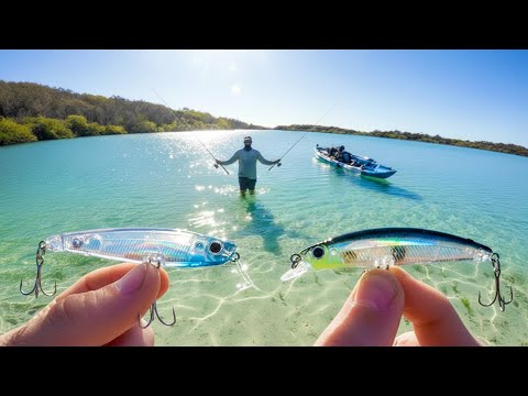 Top Water VS Sub Surface (Lure Fishing)