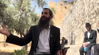 התקדמות עצומה בהר הבית בשנת תשפ"ה - תודה לה'! | הרב אלישע וולפסון (ישיבת הר הבית) - התמונה מוצגת ישירות מתוך אתר האינטרנט יוטיוב. זכויות היוצרים בתמונה שייכות ליוצרה. קישור קרדיט למקור התוכן נמצא בתוך דף הסרטון התקדמות עצומה בהר הבית בשנת תשפ"ה - תודה לה'! | הרב אלישע וולפסון (ישיבת הר הבית) - התמונה מוצגת ישירות מתוך אתר האינטרנט יוטיוב. זכויות היוצרים בתמונה שייכות ליוצרה. קישור קרדיט למקור התוכן נמצא בתוך דף הסרטון