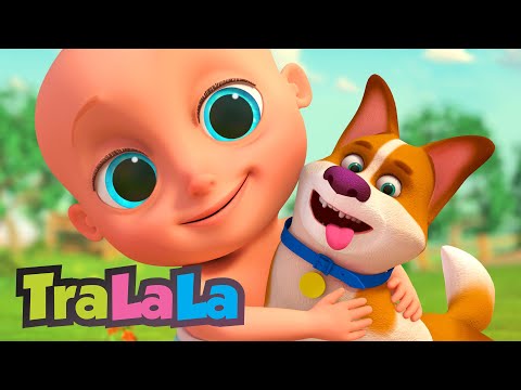 Cântece Educative cu cățelul Bingo de la TraLaLa 🐶 Cântece Copii