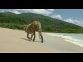 Life Of Pi Sad Ending