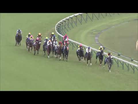 2019 Victoria Mile (G1)