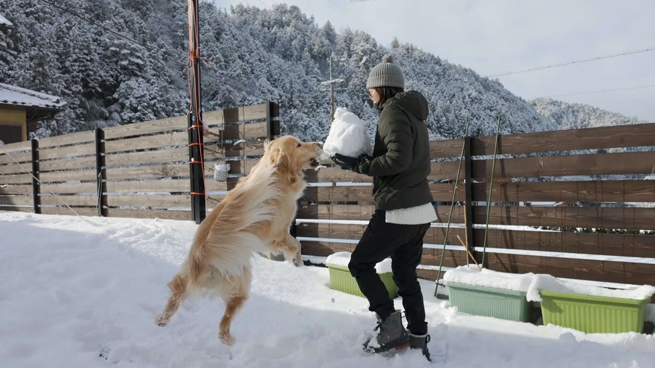 今年初の雪遊びは雪だるまに放尿されて運固を踏んでニンジンを食べられました