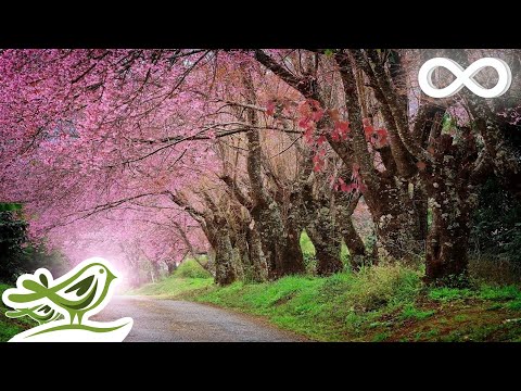 Relaxing Piano Music • Romantic Beautiful Music, Relaxation Music, Sleep Music #92