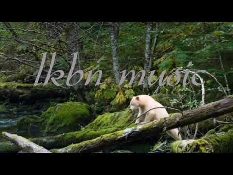 Aya Nakamura x DJ KENSIDE Pookie (Zouk Remix 2019)