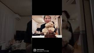 【愛犬】流行ってるやつやってみた
