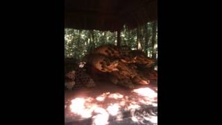 Download lagu Cu Chi Turnel trip mp3