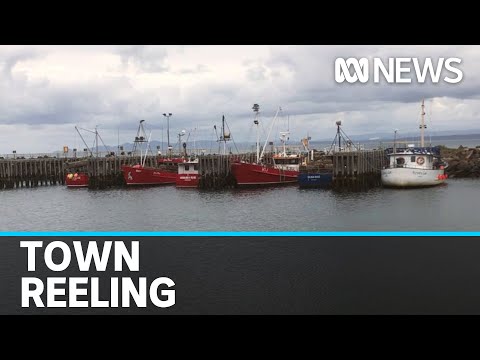 Stanley's tightknit fishing community in shock after 10yo boy pulled off boat by a shark | ABC News