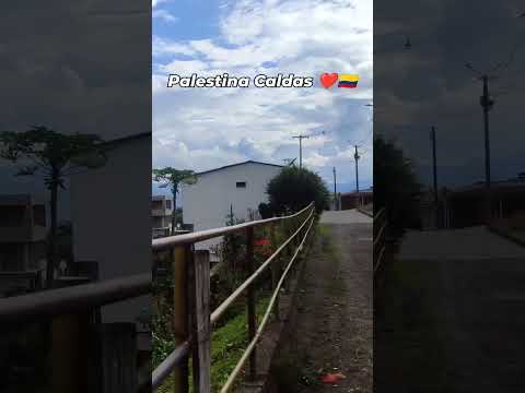 Palestina Caldas ❤️🇨🇴 #colombia #palestinacaldas