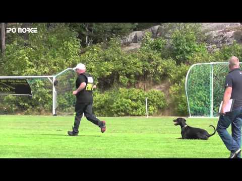 FCI NM IPO 2014 Tom Thoresen - Safir v SchutzArt - B