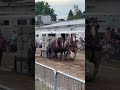 13250 lbs Bear Lake Days horse power horse pulls most weight ever at this location