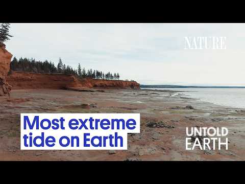 This Bay Moves 100 Billion Tons of Water Every Day