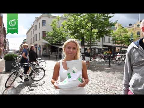 Havskampen ifrån Kalmar