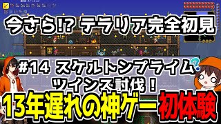 【初見テラリア】ツインズとスケルトンプライム倒すぞ！ #14 【Twitch同時配信】