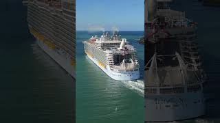 ALLURE OF THE SEAS IS A FLOATING CITY!🛳️⚓️ #cruiseship #cruise