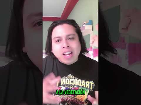 huanuqueños vs tingaleses